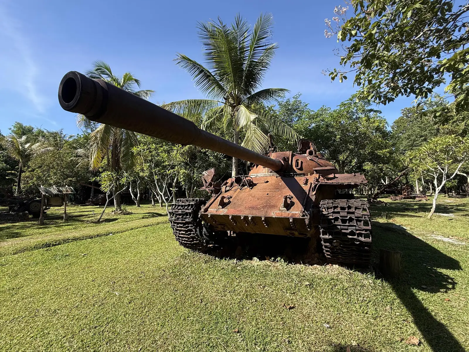 Char T-54 au canon pointé, sous les cocotiers