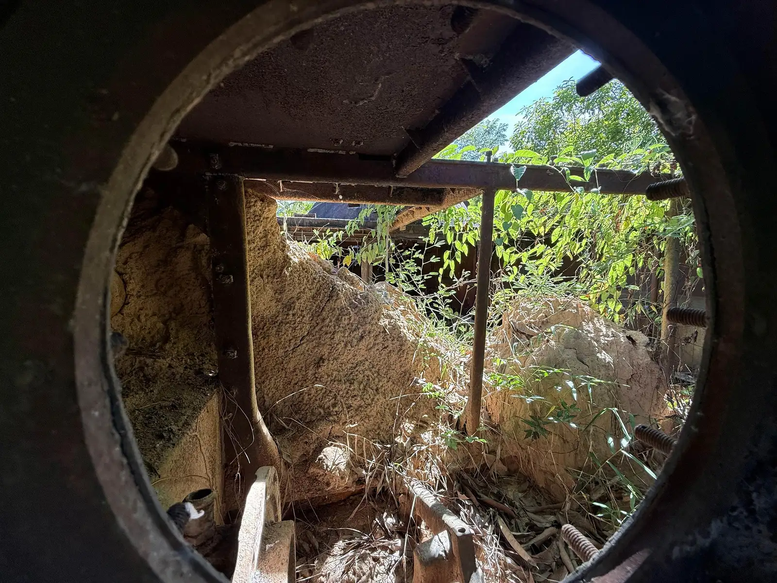 Vue par un anneau de tourelle : une termitière et des broussailles ont rempli l'habitacle